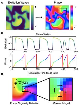 Rotor Localization and Phase Mapping of Cardiac Excitation Waves Using Deep Neural Networks